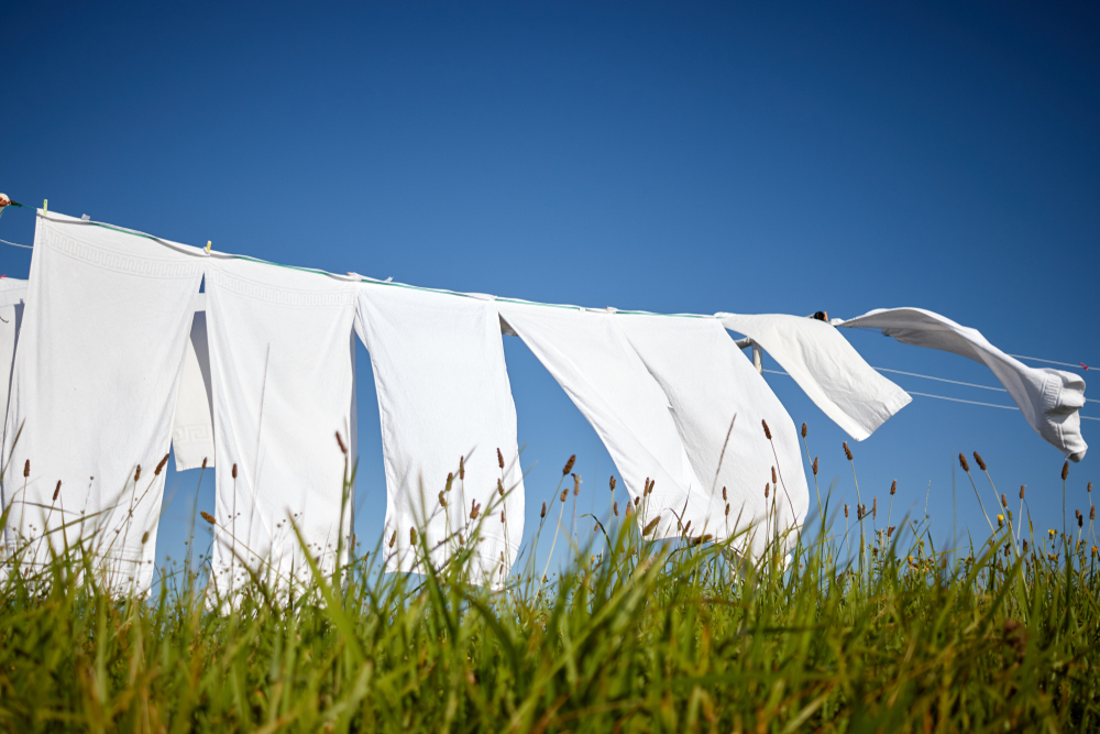 Find Reliable Laundry Service